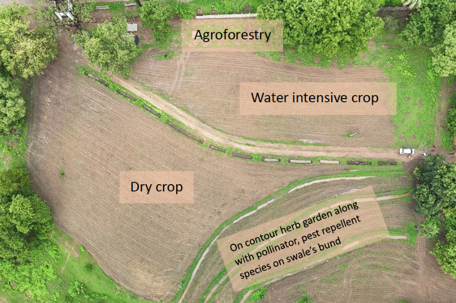 crop-diversity