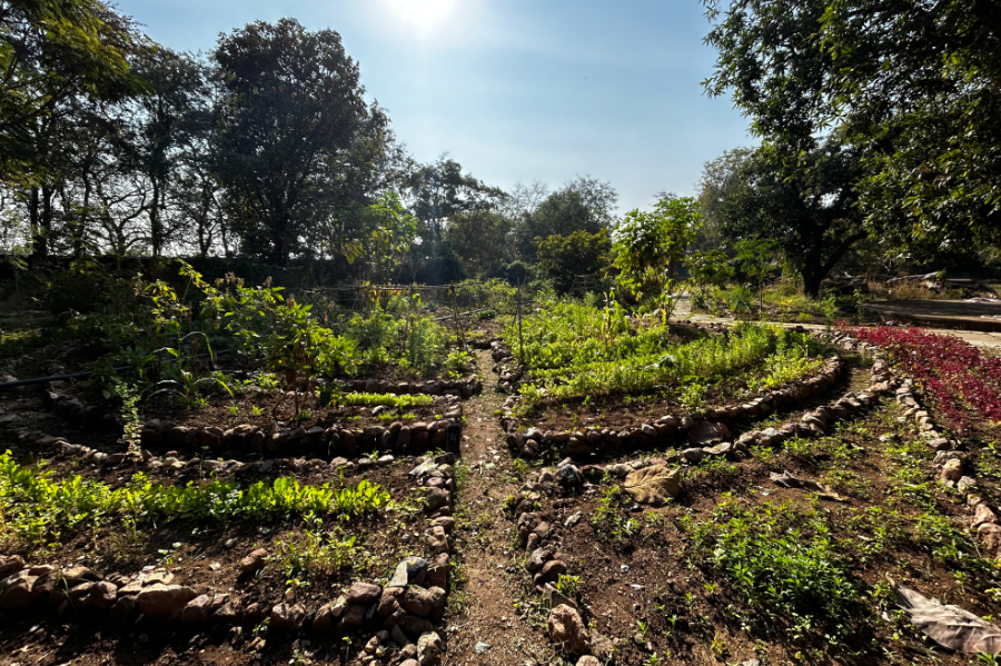 vegitabale-garden